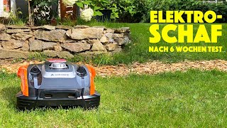 Yardforce Compact 300 RB Mähroboter mit Ultraschall und App Steuerung -  Fazit nach 6 Wochen