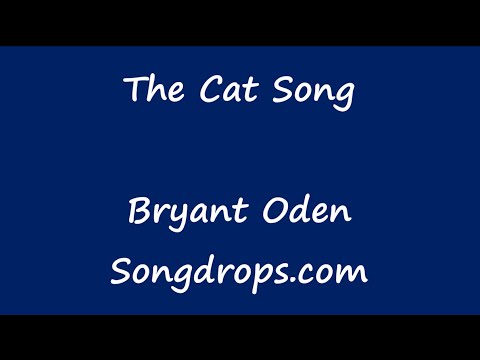 Funny Song: The Cat Song