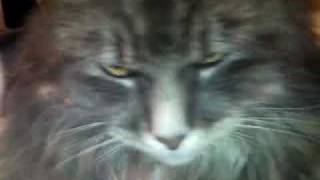 She who must be obeyed!