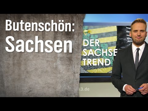 Statistikexperte Butenschön: Sachsen | extra 3 | NDR