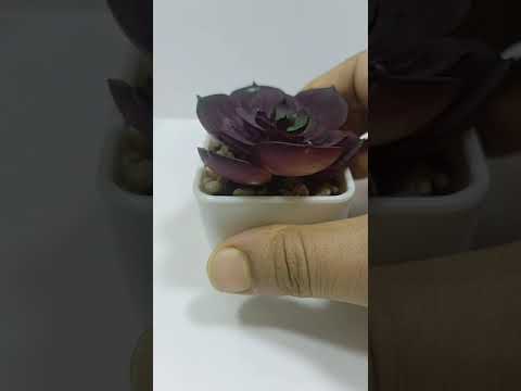 Artificial Bonsai for Decoration- Style 12