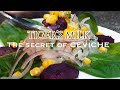Tiger's Milk Recipe | Leche de Tigre | How to make peruvian Ceviche, tigers milk | Secret of Ceviche