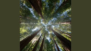 熟睡ギターBGM 睡眠の質を高めるヒーリング音楽...