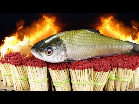 EXPERIMENT 50,000 SAFETY MATCHES vs FISH HERRING