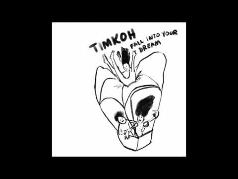 TIMKOH - Fall Into Your Dream (Official Audio)
