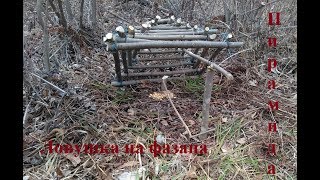 Ловушка на фазана своими руками чертежи