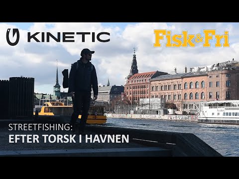 EFTER TORSK I KØBENHAVNS HAVN