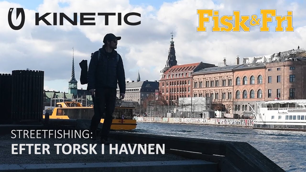 EFTER TORSK I KØBENHAVNS HAVN