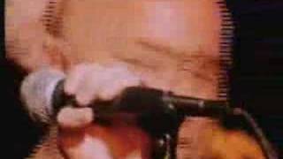 FIGHTING SONS - ROSE TATTOO