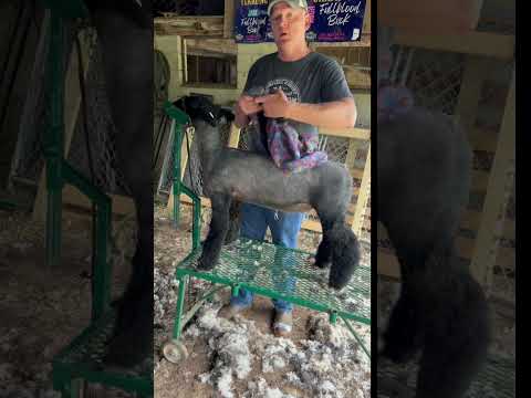 We LOVE Our Rugged Ranch Galvanized Steel Pasture Hay Feeder