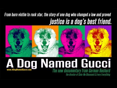 A DOG NAMED GUCCI - trailer 2