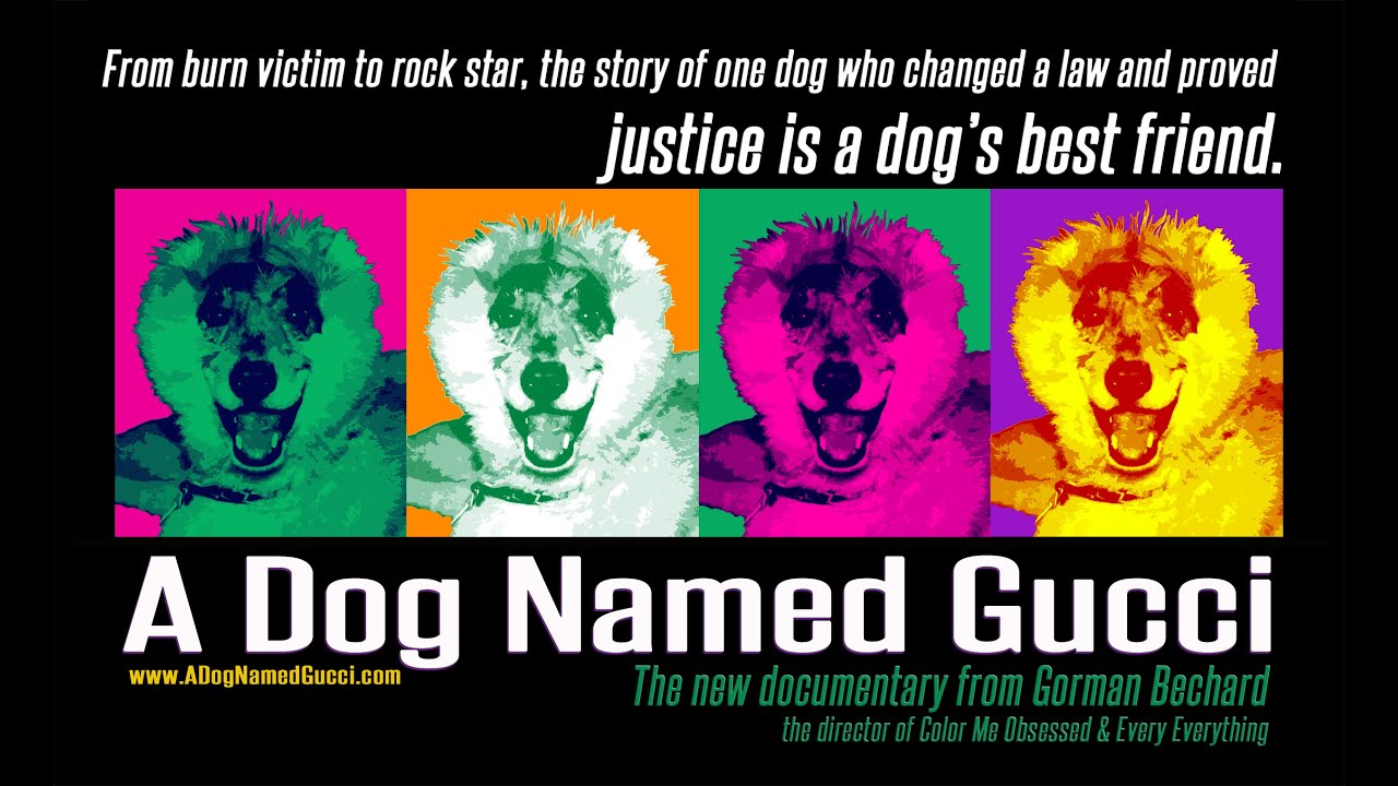 A DOG NAMED GUCCI - trailer 2