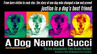 A Dog Named Gucci (2015) Video