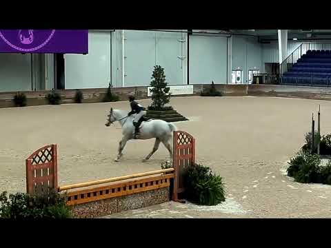 CMS Watermark video 2
