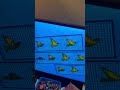 Sesame Street Rap 11