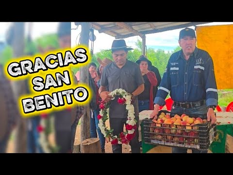 Desde la huerta al futuro: San Benito y el orgullo del durazno cochabambino