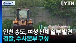 인천 송도서 여성 신체 일부 발견...경찰, 수사본부 구성 / YTN
