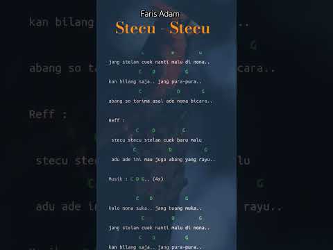 Stecu Stecu - Faris Adam