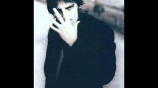 Robyn Hitchcock - I Got a Message For You