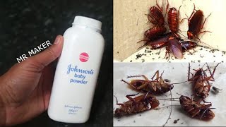 HOW TO KILL COCKROACH JUST 10 MINUTE || NATURAL HOME REMEDY | Mr. Maker