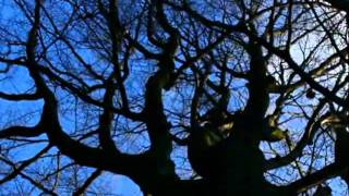 Ravi Shankar _ Philip Glass - Meetings Along The Edge_.flv