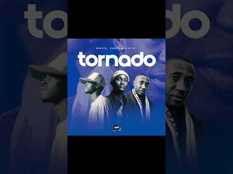 Darkface Buksta & Dj IC - Tornado (original mix)