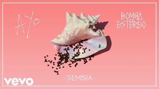 Bomba Estéreo - Siembra (Audio)