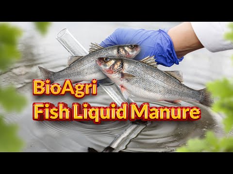 BioAgri Fish Liquid Manure (Natural Booster)