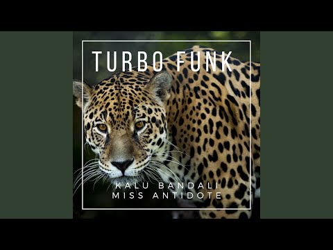 Turbo Funk (feat. Kalu Bandali)