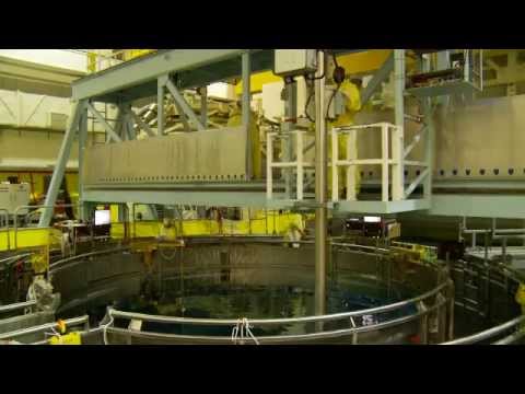 Inside a Refueling and Maintenance Outage