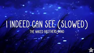 The Naked Brothers Band - I Indeed Can See (slowed + reverb) w/ lyrics