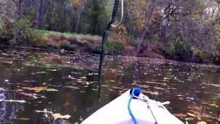 preview picture of video 'U.G.F.N.  Kayaking Perkiomen Creek by Graterford Prison'