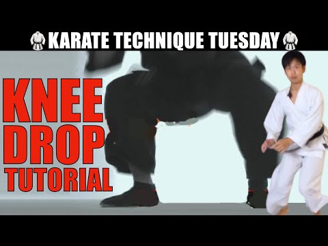 Your Karate Is INCOMPLETE Without This CRUCIAL POINT // Technique Tuesday Episode #1