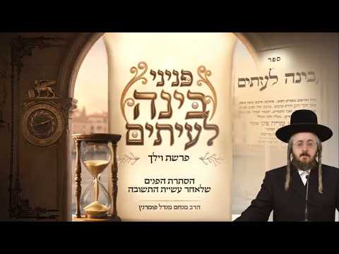 פניני בינה לעיתים - פרשת וילך