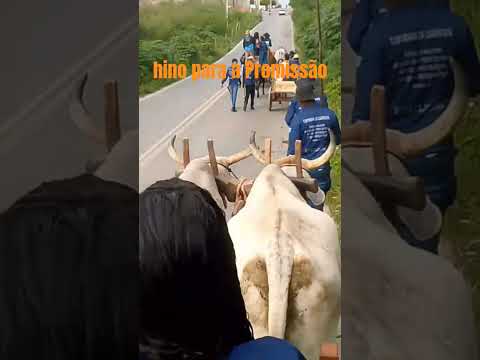hino para Promissão de Inhapi Alagoas