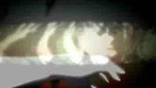 Frozen;  Le Portrait de Petit Cossette