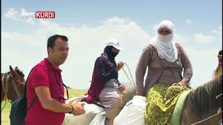 Rêwî - Beşa 323 (Muş)