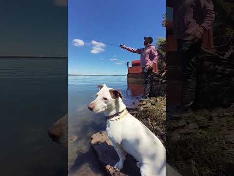 Ayolas, Paraguay #pescaria #pescar #paraguai #paraguay