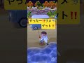 海釣り　なんと　サメ🦈を釣り上げました🎣‼️ あつ森　ポケ森　どうぶつの森　ジョーズ