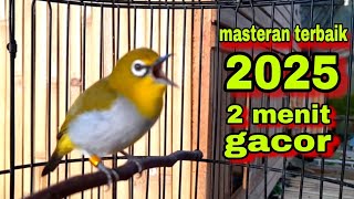 Download lagu Suara Burung Pleci gacor Ngalas Nembak || Masteran Pleci Terbaru 2025 mp3