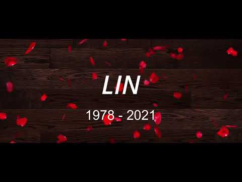 Lin-MoV Conseil(Lyrics)