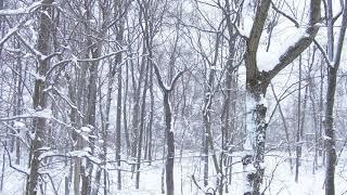 Winter Snow by Chris Tomlin