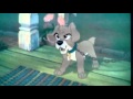 Lady And The Tramp 2 A World With Out Fences Swedish