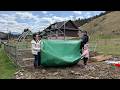 Rural Family Life In The Carpathian Mountains Spring Work New Greenhouse Homemade Food