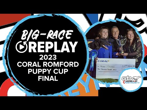 2023 Coral Romford Puppy Cup - Romeo Crusade | Greyhound Replays | 2023 Big Finals