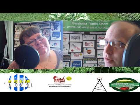 S3E8 Bad garden tips on social media - The Wisconsin Vegetable Gardener radio show