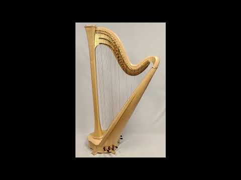 Salvi Arion 47SG #22174