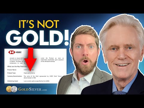 Blockchain Gold: Innovation or Illusion? | Mike Maloney & Alan Hibbard