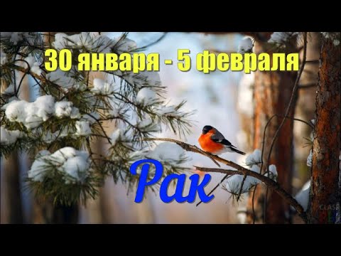 30 января - 5 февраля.РАК ♋️