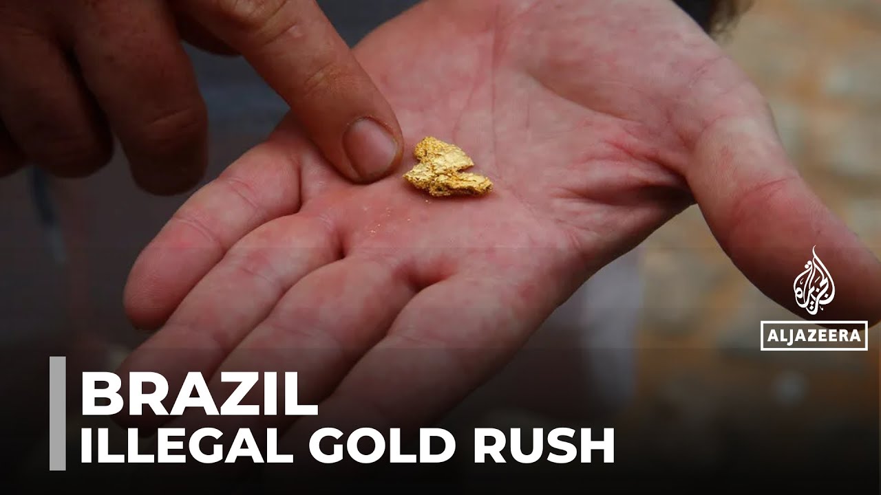 Illegal mining is a major crisis in Brazil: Lawless mining has destroyed over 4,000 hectares